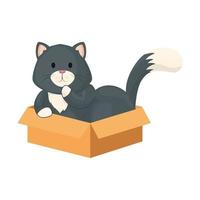 cute little cat in box carton isolated icon vector