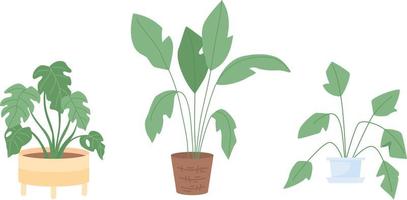 Houseplant for interior decor semi flat color vector item set