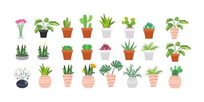 Cactus and succulents set. Cute green cactus in flower pots Vector hand drawn isolated. Illustration