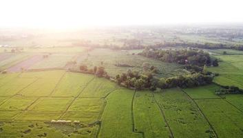 Fotografías aéreas de drones en tierras de cultivo verdes rurales.