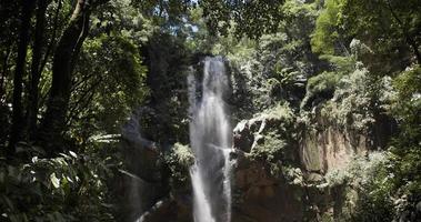 vista frontale, il flusso della grande cascata scorreva lungo le rocce. circondato da alberi e foglie svolazzanti al vento. Tailandia. video