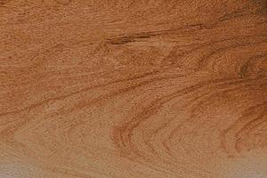 Close up of wooden texture. photo