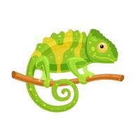 Chameleon on a branch. Funny character, African animal. Vector illustration
