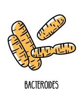 Bacteroides gram-negative anaerobic bacteria in the human intestinal microflora, vector illustration. Microbiota of the digestive tract.