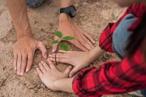 hombres y mujeres ayudan a cultivar árboles. foto