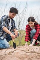 hombres y mujeres ayudan a cultivar árboles. foto