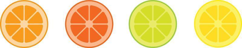 Citrus slice set. Lemon slice. Orange slice. Lime slice. Vector illustration