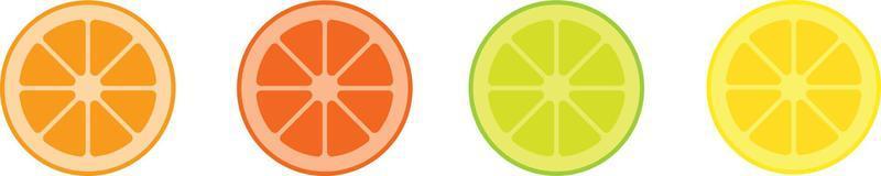 Citrus slice set. Lemon slice. Orange slice. Lime slice. Vector illustration