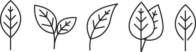 Leaf simple icon set. Vector