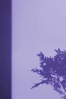 Shadows of twigs of plants on the wall in very peri color tinted. Nature background in color of the year 2022 photo