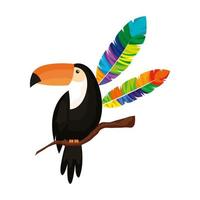 toucan animal with exotic feathers vector