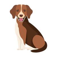 brown dog with white spot isolated icon