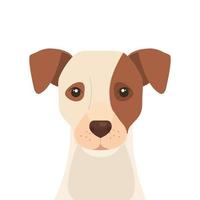 face of white dog with brown spot vector