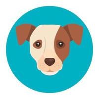 face of white dog with brown spot in frame circular vector