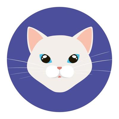 face of cat white in frame circular