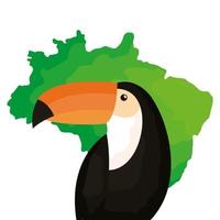 toucan animal exotic with map of brazil vector