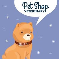 pet shop veterinary with cute dog vector