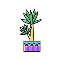 Yucca RGB color icon. Small exotic indoor palm. Mexican tree. Decorative houseplant with pointed leaves. Natural home, office decor. Isolated vector illustration