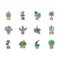 Houseplants RGB color icons set. Decorative indoor plants. Natural home, office decor. Ficus, monstera, african violet, lucky bamboo. Peace lily, pothos, parlor palm. Isolated vector illustrations