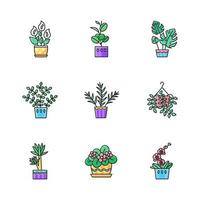 Domesticated plants RGB color icons set. Houseplants. Decorative indoor plants. Natural home, office decor. African violet, ficus, monstera. Peace lily, pothos, yucca. Isolated vector illustrations