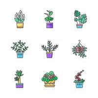 Conjunto de iconos de colores rgb de plantas domesticadas. plantas de interior. Plantas decorativas de interior. hogar natural, decoración de oficina. violeta africana, ficus, monstera. lirio de la paz, potos, yuca. ilustraciones vectoriales aisladas vector