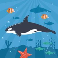 Illustration of Killer Whale Underwater vector