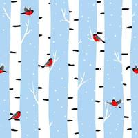 Seamless pattern with white birches and birds bullfinch vector