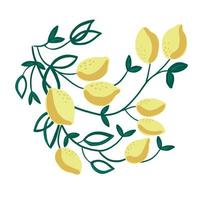 Illustration of decorative lemon branche. Great for home posters, textile decoration, paper print and design. Isolated on white background. vector