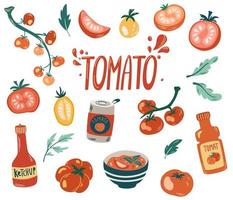 Tomatoes set. Cherry tomatoes, Branch, half and slice and slice tomatoes. Ketchup bottle, chilli, tomato sauce and soup. Vegetables. Healthy food. Hand draw vector illustration.