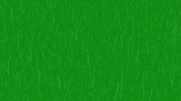 Rain falling and wind random force effect on green screen video