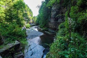 Robert H Treman State Park Gorge Trail photo