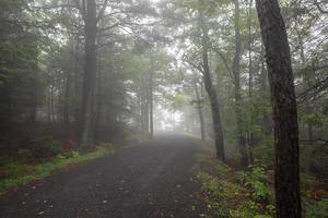 niebla sobre el lago minnewaska foto