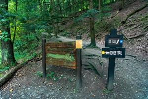 Robert H Treman State Park Gorge Trail photo