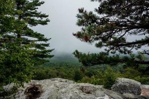 niebla sobre el lago minnewaska foto