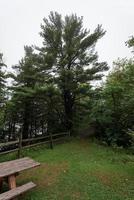 Fog Over the Lake Minnewaska photo