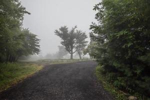 Fog Over the Lake Minnewaska photo