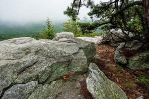 niebla sobre el lago minnewaska foto