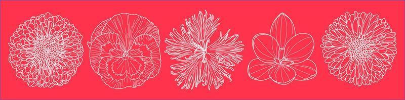 Set of five fall flowers outlines art in top view shot vectors against on magenta wallpaper