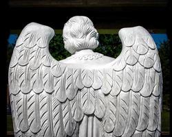 Houston TX USA 2015 - Angel Wings Back photo
