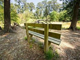 Bench in the Woods photo