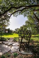 Bench Under Trees in New Orleans LA photo