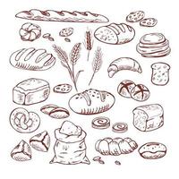Ilustración de conjunto dibujado a mano de vector de pan. otros tipos de trigo, harina de pan fresco. Colección de grabados de panadería de alimentos con gluten. Hornear alimentos orgánicos negros aislados sobre fondo blanco.
