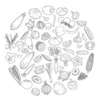 vector iconos de verduras en estilo de línea.