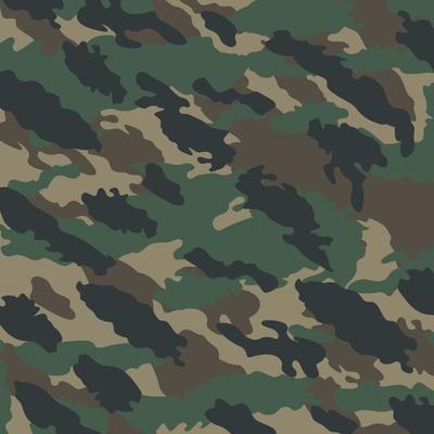 woodland jungle leaves stealth terrain abstract camouflage stripe pattern military background suitable for print cloth and packaging