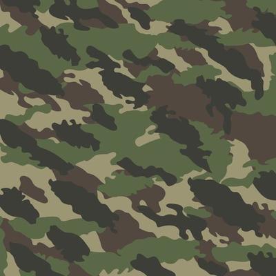 woodland jungle leaves stealth battlefield terrain abstract camouflage stripe pattern military background suitable for print cloth and packaging