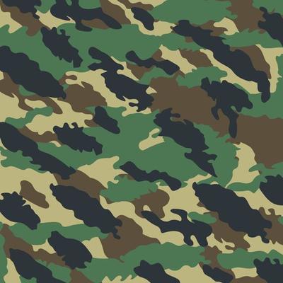 woodland jungle leaves stealth battlefield abstract camouflage stripe pattern military background suitable for print cloth and packaging