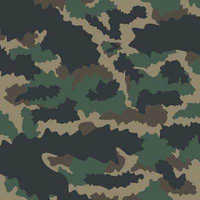 woodland jungle leaves battlefield terrain abstract camouflage stripe pattern military background suitable for print cloth and packaging