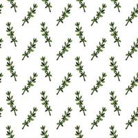 Hand drawn thyme seamless pattern. Herbal print in colored sketch style. Vector illustration