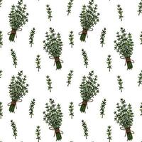 Hand drawn thyme seamless pattern. Herbal print in colored sketch style. Vector illustration