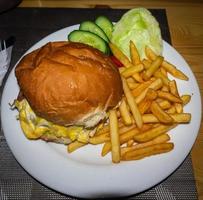 burger sandwich and French fries photo